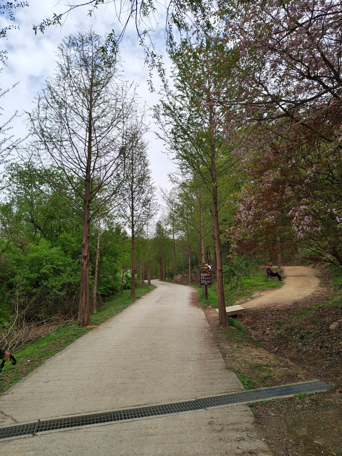 -왕산리임도 입구 모습 사진 용인특례시