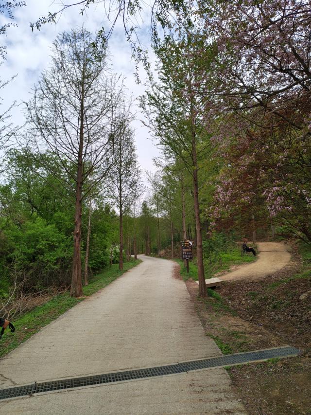 [NSP NEWS Image]용인시 임도 정비에 48억 투입산림 재해 차단