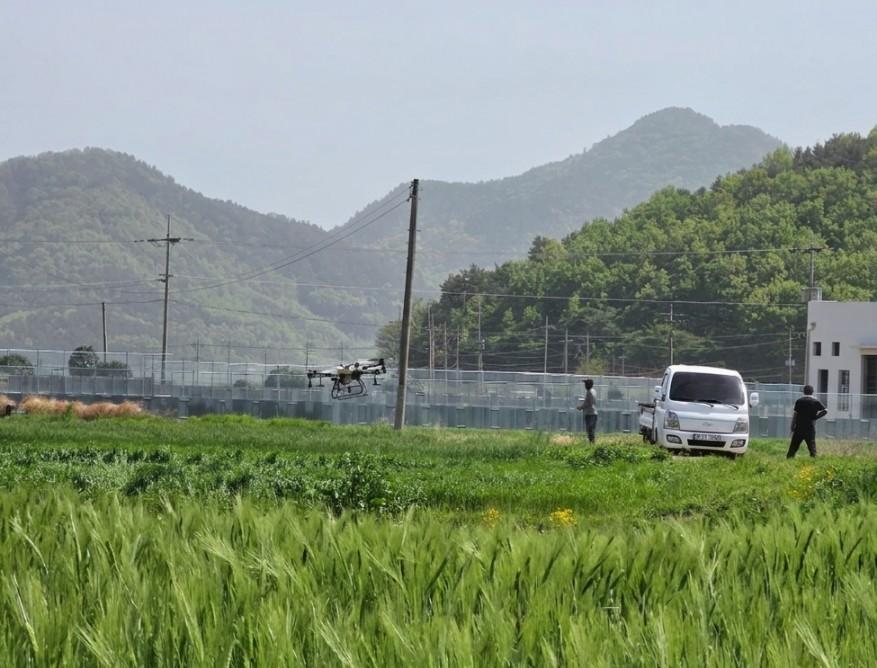 -장흥군 관내 한 농민이 맥류 붉은곰팡이병 방제를 하고 있다 사진 장흥군
