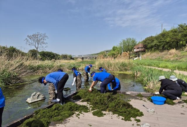 [NSP NEWS Image]안양시동아오츠카 안양천 화창습지서 지구의 날 맞이 환경 정화 펼쳐
