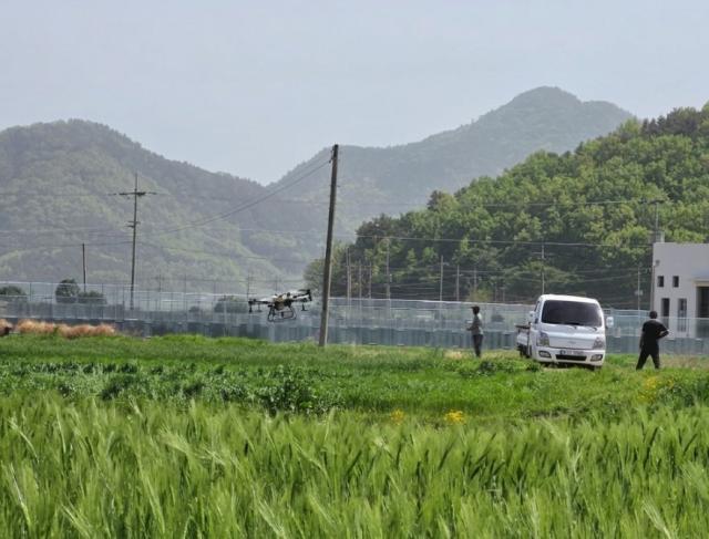 [NSP NEWS Image]장흥군  맥류 붉은곰팡이병 주의보적기 방제 당부