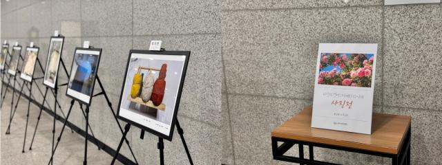 [NSP NEWS Image]군포시 미디어 교육 수강생 사진전 개최시민 작가의 시선을 담다