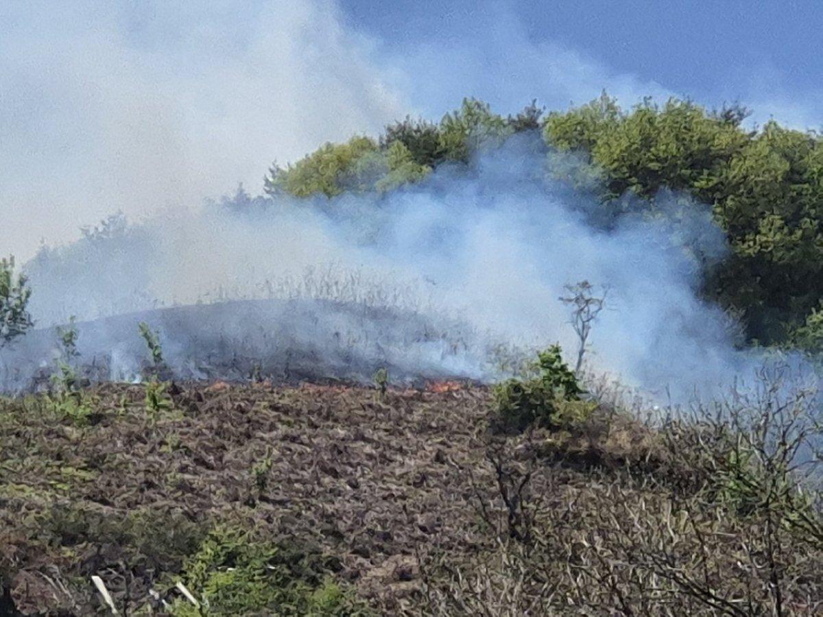 -산불 사진 광양시청