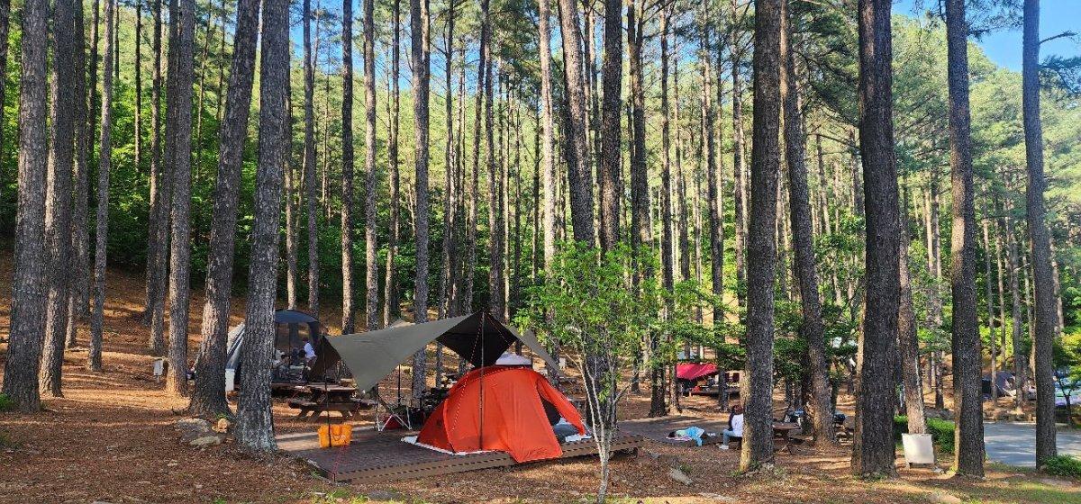 -휴식과 체험을 동시에 즐길 수 있는 백운산자연휴양림 사진 광양시청