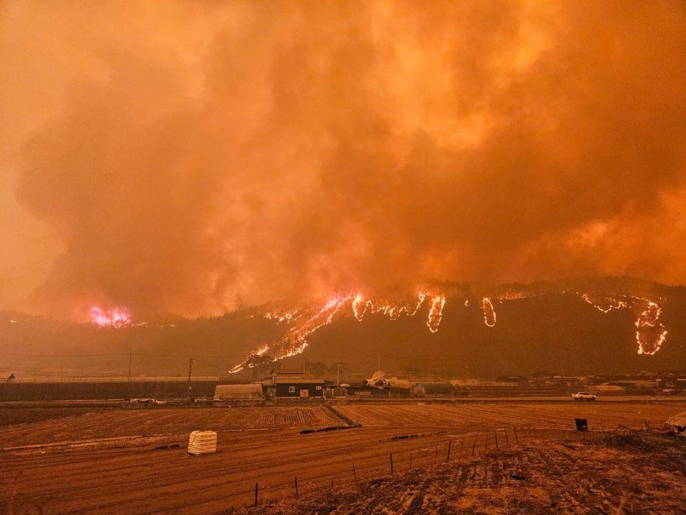 -산불 피해지역은 단순한 복구를 넘어 산림복구 및 지역경제 활성화를 연계한 재창조 전략을 추진한다 재난 취약계층을 우선 보호하는 맞춤형 정책과 함께 재난 대응 매뉴얼을 고도화해 다양한 재난 상황에 신속하고 체계적으로 대응할 수 있는 시스템 구축도 추진한다 사진 권기창 안동시장 예비후보 선대위
