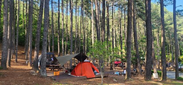 [NSP NEWS Image]어린이날 어디 갈까광양시 자연체험문화 담은 가족 나들이 코스 제안