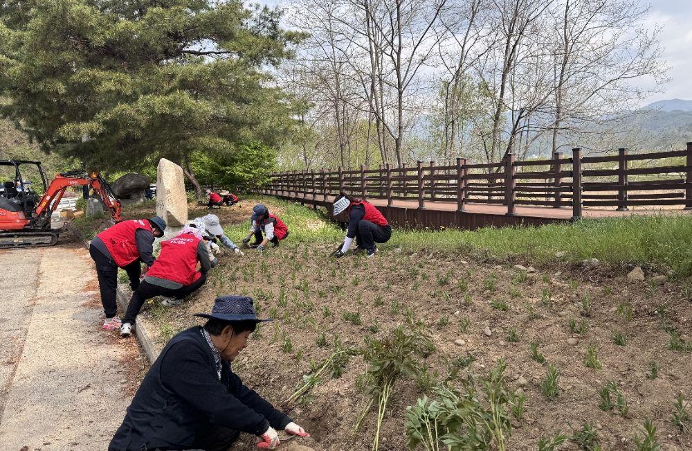 -봉화군 춘양면 주민과 함께 꽃피우는 봄맞이 꽃길 조성 주민 손길로 피어나는 꽃길 사진 봉화군