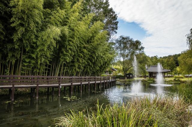 [NSP NEWS Image]담양군-한국관광공사 일본 여행업계에 담양군의 매력 홍보