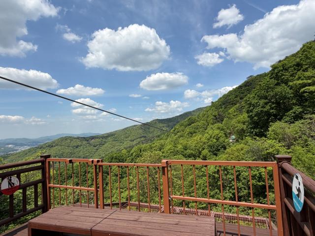 [NSP NEWS Image]용인특례시 용인자연휴양림 짚라인 재개장