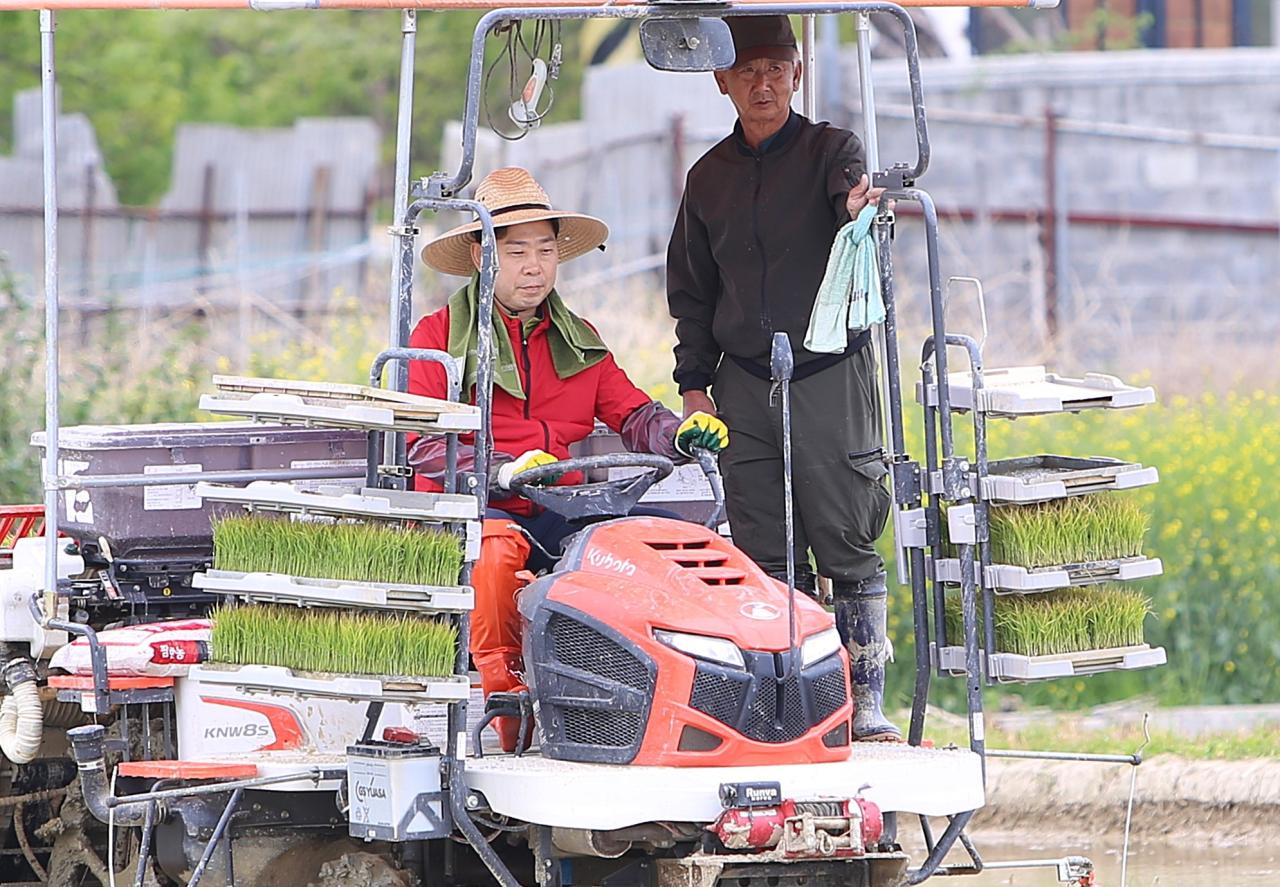 -박용선 포항시장 후보가 30일 북구 청하면 모내기 행사에 참여했다 사진 박용선 포항시장 후보 캠프