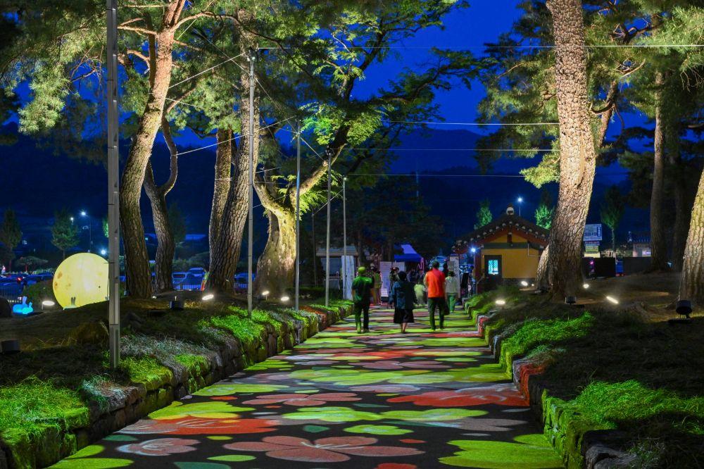 -별빛으로 물든 영주 소수서원 야간개장 관람객 발길 이어져 선비문화축제 연계 야경 명소로 큰 호응 사진 영주시