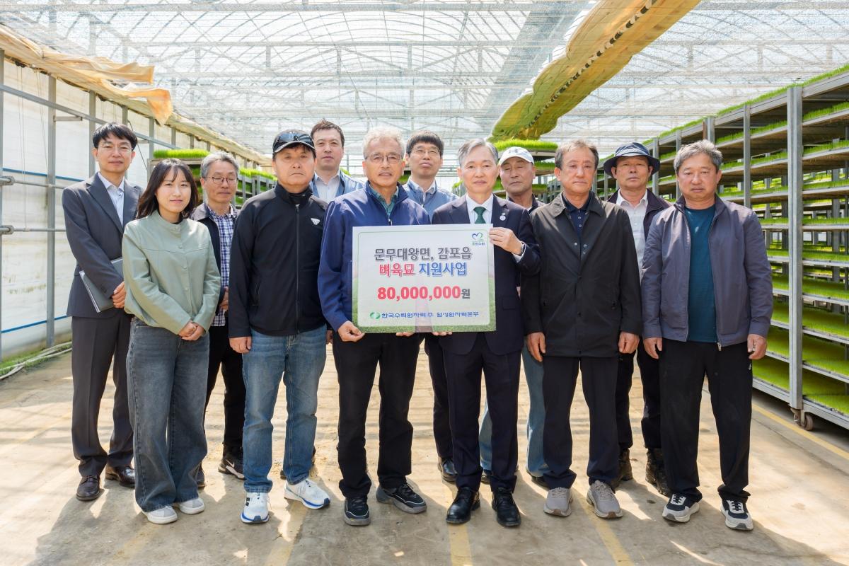 -한국수력원자력 월성원자력본부는 지난 4일 경주시 문무대왕면 입천리 소재 벼 육묘장에서 문무대왕면감포읍 벼 육묘 지원 행사를 시행했다 사진 월성원자력본부