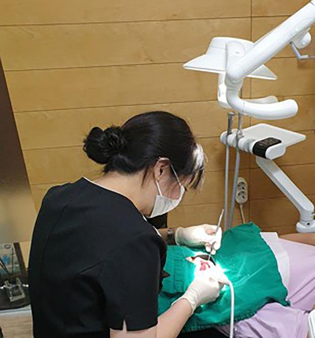 [NSP NEWS Image]성남시, 초등 4학년 ‘치과주치의’ 사업 실시…구강검진부터 치료까지 무료