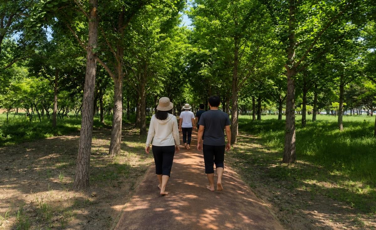 -경주시는 황성문화공원 내 맨발둘레길 조성을 완료하고 본격 운영에 들어갔다. (사진 = 경주시)