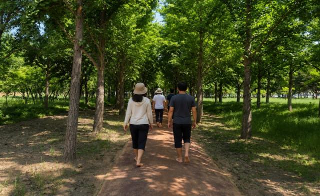 [NSP NEWS Image]경주시, 황성문화공원 맨발둘레길 준공...본격 운영