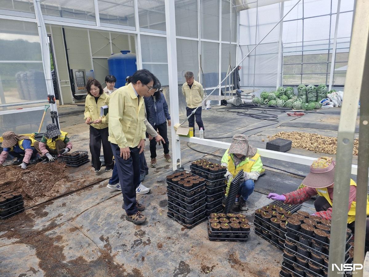 -(사진 = 진안군)