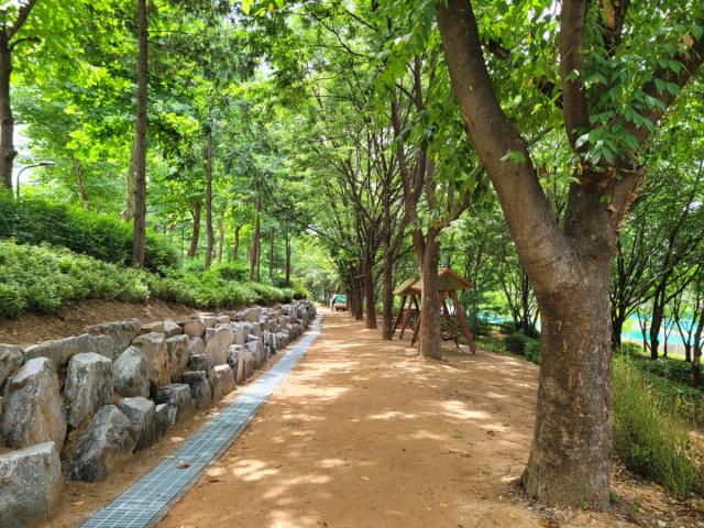 [NSP NEWS Image]경기도, 노후 녹지 15만㎡ 생태 리모델링…도심 속 ‘건강한 숲’ 복원