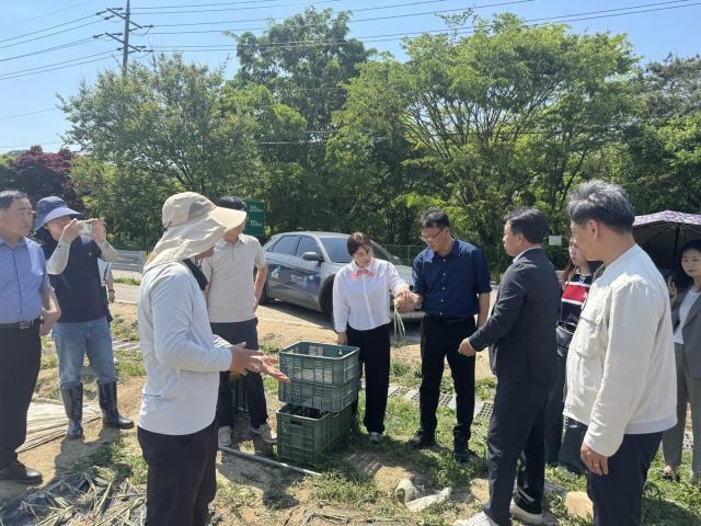 [NSP NEWS Image]경기도교육청, 학교급식 식재료 공급 소통 나서