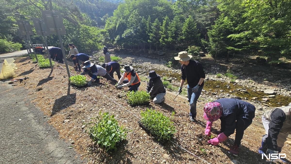 -(사진 = 완주군)