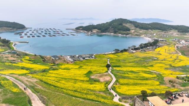 [NSP NEWS Image]완도군, ‘섬섬 걸을래!’ 공모 사업에 청산·보길 선정