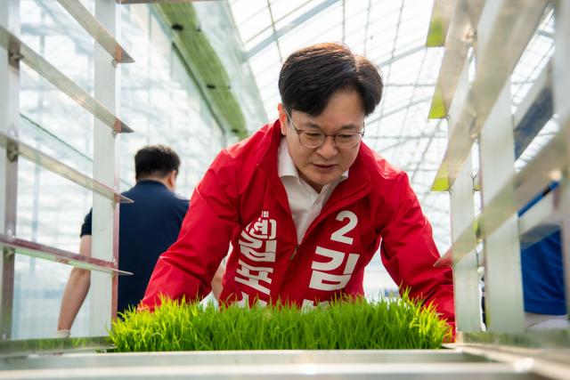 [NSP NEWS Image][6.3 지방선거] 김병수 김포시장 후보, 신김포농협 육묘장 찾아 못자리 냉해 대응 점검