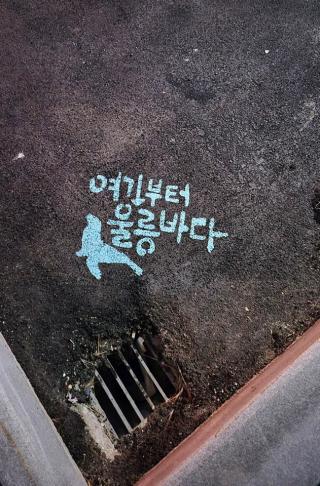 (NSP NEWS Image)[바뀌는 우리동네] 울릉 플로깅과 여객선 3사, 입도 전 환경 캠페인 영상 선내 상영