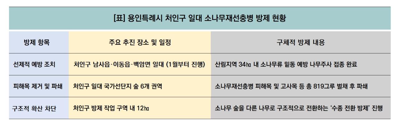 -용인특례시 일대 소나무재선충병 방제 현황 (표 = 김병관)