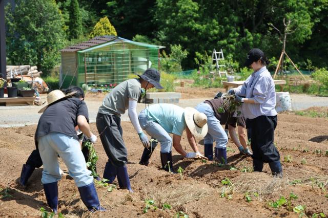 [NSP NEWS Image]용인도시공사, 처인장애인복지관과 ‘고구마 농장 체험’ 사회공헌활동 전개