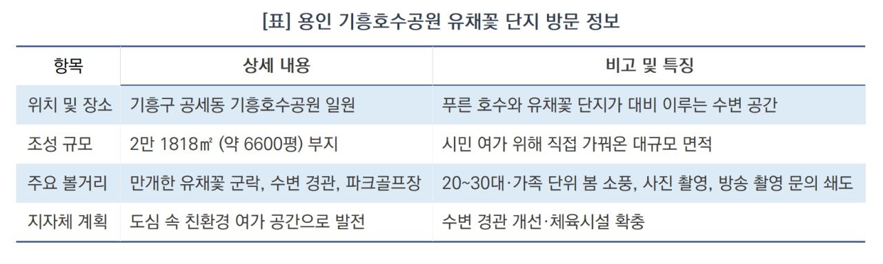 -용인 기흥호수공원 유채꽃 단지 방문 정보 안내 (표 = 김병관)