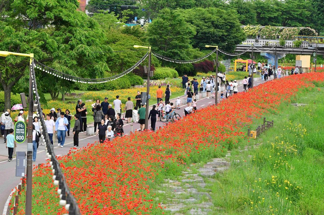 -‘장성 황룡강 음악힐링축제’를 찾은 관광객들이 행사장 주변을 둘러보고 있다. (사진 = 장성군)