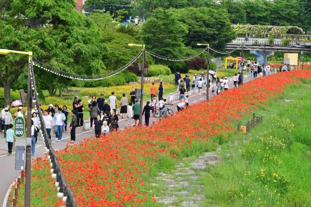 [NSP NEWS Image]장성군, ‘장성 황룡강 음악힐링축제’ 호응 속 마무리