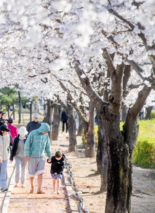 [NSP NEWS Image]구미시, 구미 전역 14개소·13km 맨발길 완성...일상 속 ‘건강 인프라’ 구축