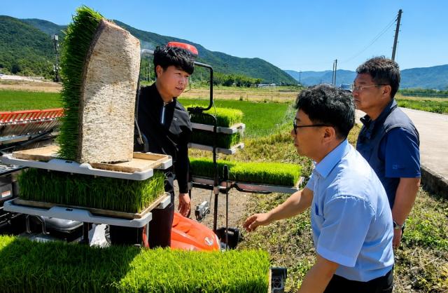 [NSP NEWS Image]경주시, 벼 무경운 이앙 연시회 개최...저탄소 재배기술 확산