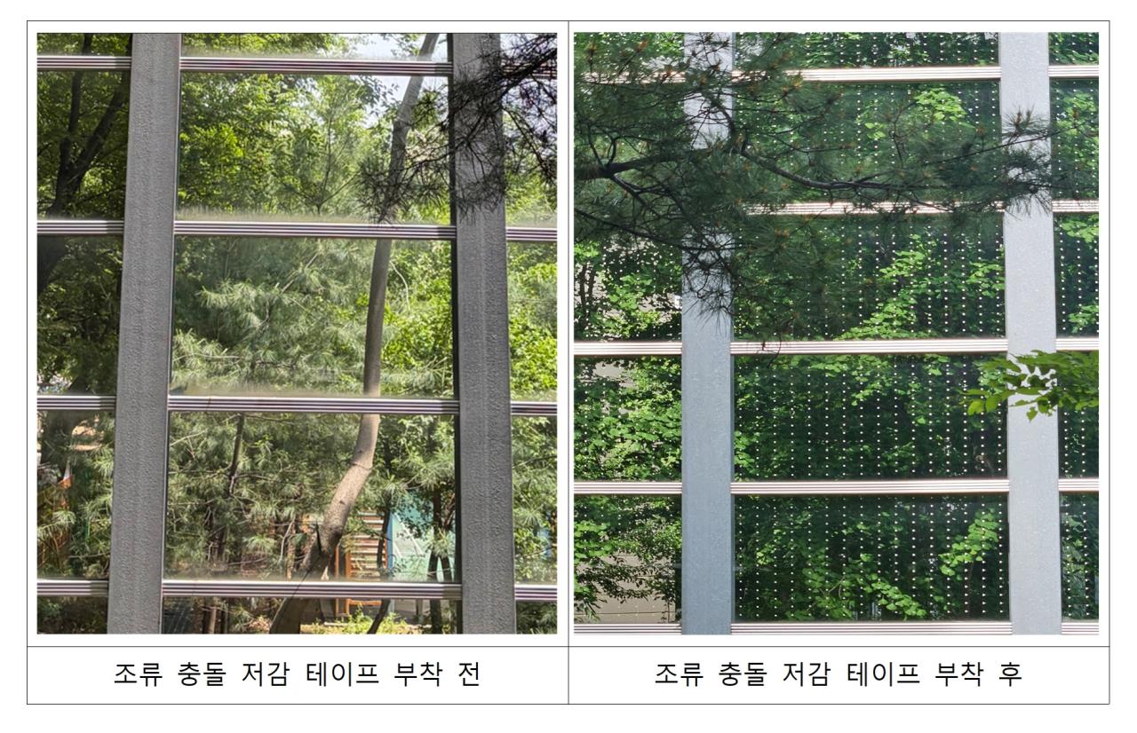 -투명 방음판에 조류 충돌 저감 테이프 부착 전 후 모습. (사진 = SH)