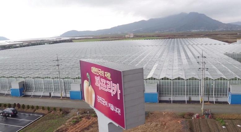 -강진군 아트팜영농조합법인 전경. (사진 = 강진군)