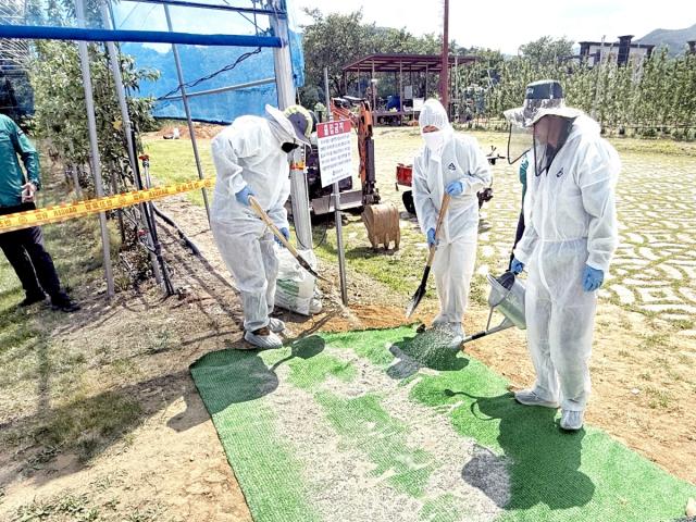 [NSP NEWS Image]청송군, 과수화상병 발생 대비 모의훈련 실시