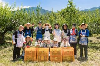 [NSP NEWS Image]광양경자청, 22년째 매실농가 지원…농촌과 함께하는 상생 행보  부제