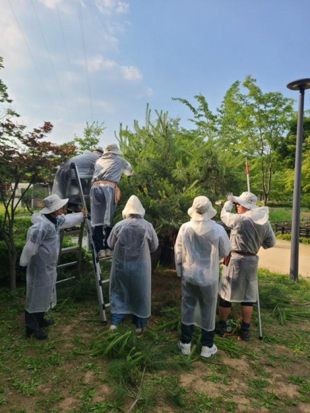 [NSP NEWS Image]의왕시, 생활 속 녹색도시 이끌 ‘2026 시민정원사 기초과정’ 교육생 모집