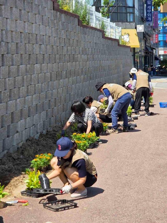 [NSP NEWS Image]강릉시, 홍제동 꽃길 가꾸고 단오장 물대전 준비…여름 맞아 손님맞이 한창
