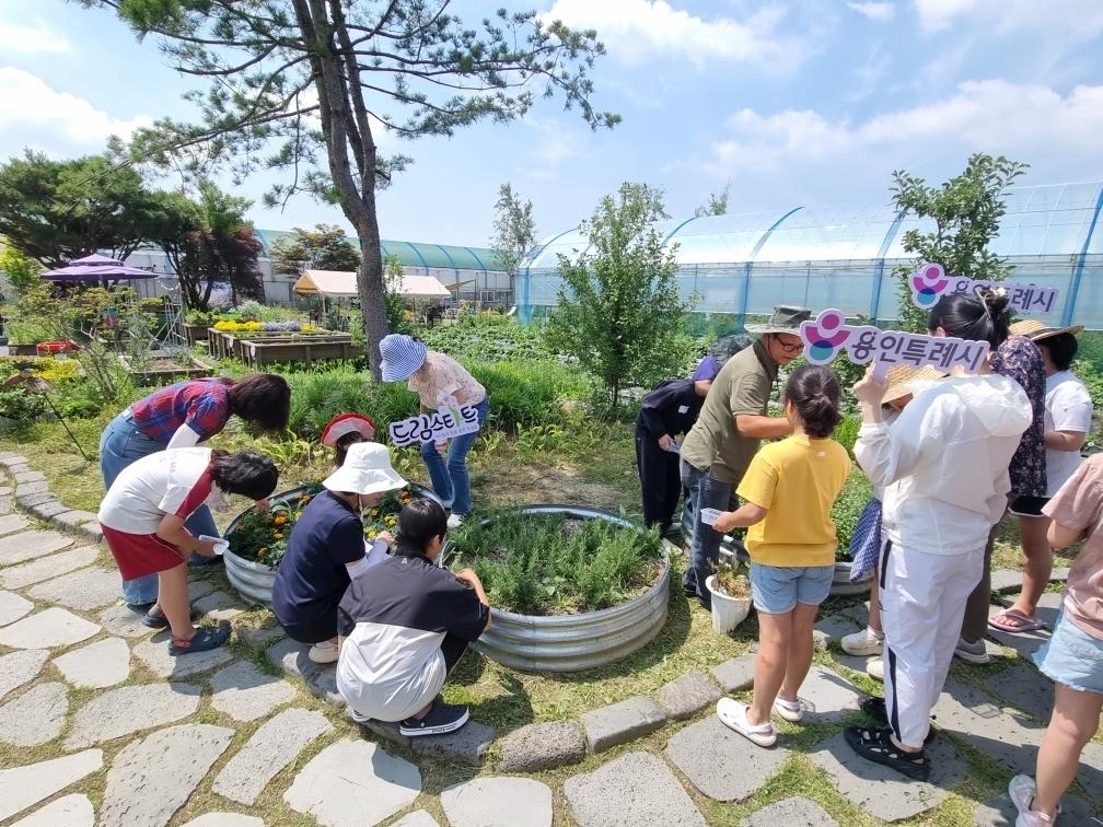 -용인시가 진행한 드림팜 마음자람 농장체험 모습. (사진 = 용인특례시)
