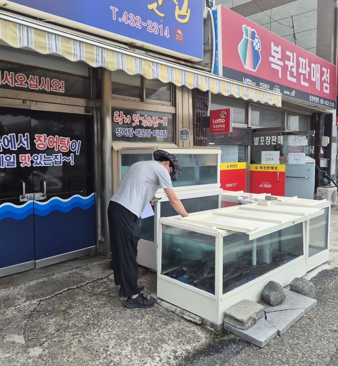 -강진군이 어패류취급업소의 수족관수를 채수하고 있다. (사진 = 강진군)