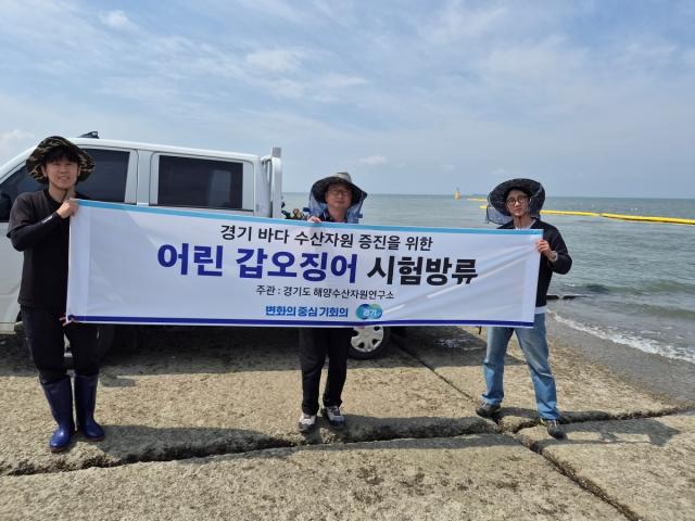 [NSP NEWS Image]경기도, 화성 연안에 어린 갑오징어 3만 마리 방류…어민 소득 증대 촉진