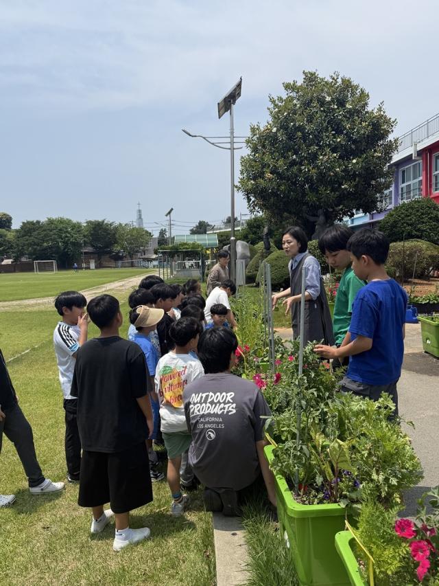 [NSP NEWS Image]나주시, 치유텃밭교실 운영…학생들 마음에 생명과 성장 심는다