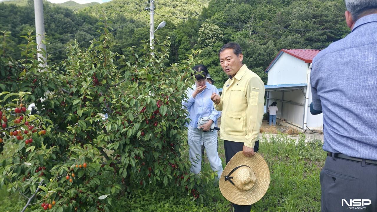 -전춘성 군수가 폭염과 20일 이상 지속된 마른장마로 가뭄 우려가 커지자 16일 농업 현장을 방문해 용수 공급 실태를 점검하고 있다. (사진 = 진안군)