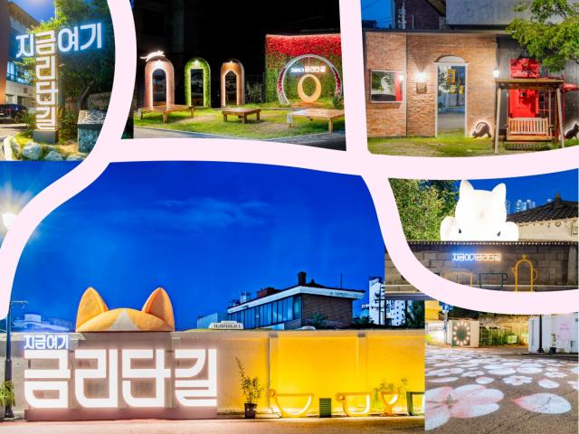 [NSP NEWS Image]구미시, 유망골목상권 2곳 동시 선정...국비 포함 9억 2천만 원 확보