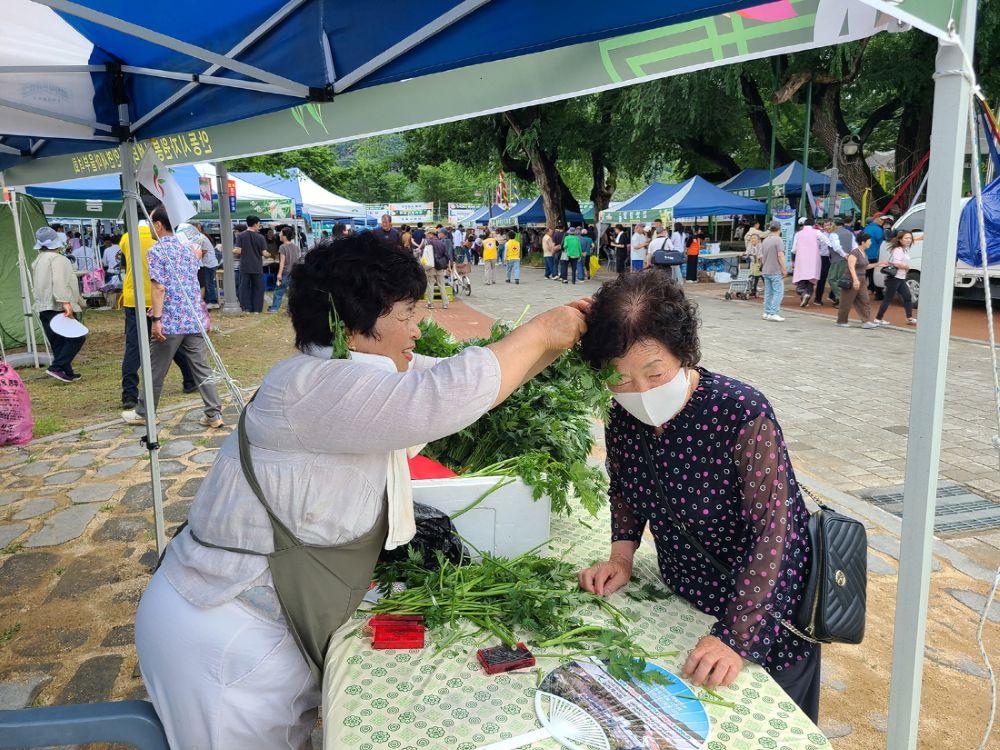 -이번 축제에서는 참여자와 관람객들이 머리와 가슴에‘궁궁이(미나리과의 여러해살이풀)’를 꽂고 축제를 즐기는 모습도 눈길을 끌었다. (사진 = 안동시)
