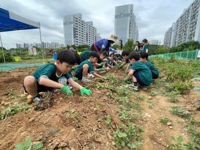[NSP NEWS Image]안산시, ‘어린이 체험농장 프로그램’ 성황…도심 속 자연 학습장 ‘눈길’