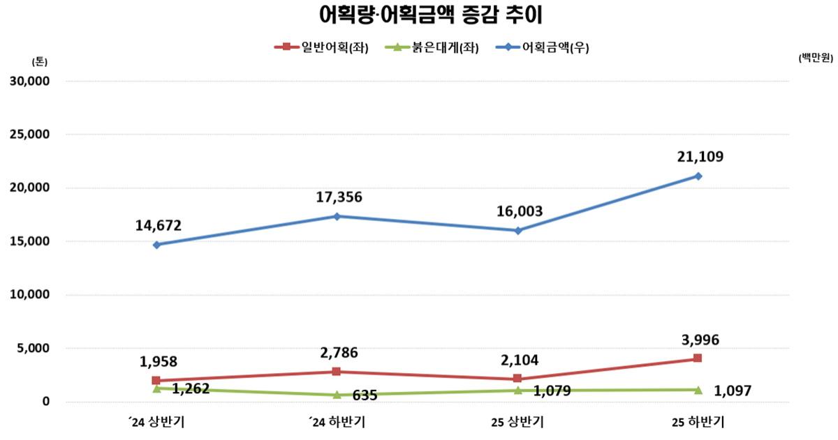 -어획량‧어획금액 증감 자료. (이미지 = 속초시)