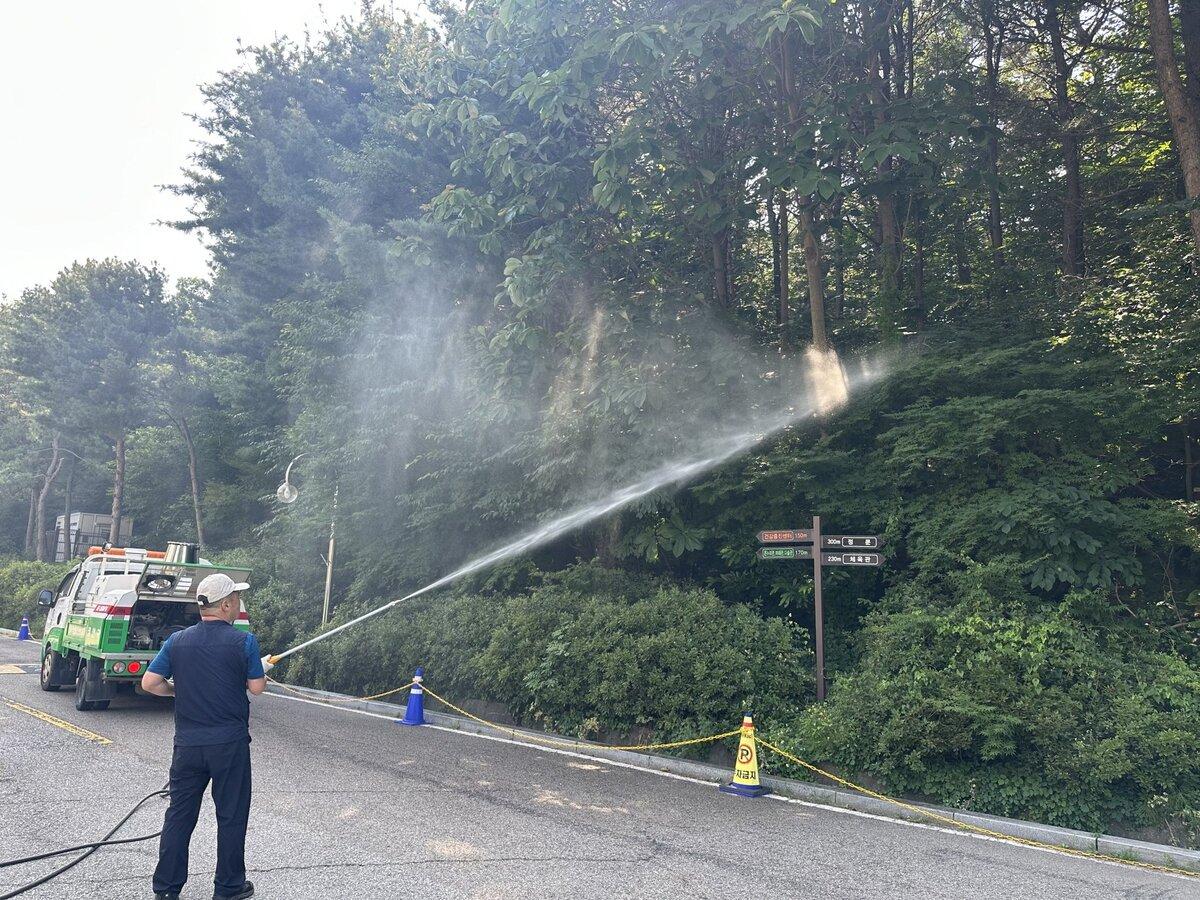 -러브버그 집중관리지역에서 친환경방제작업을 하고 있다. (사진 = 수원시)