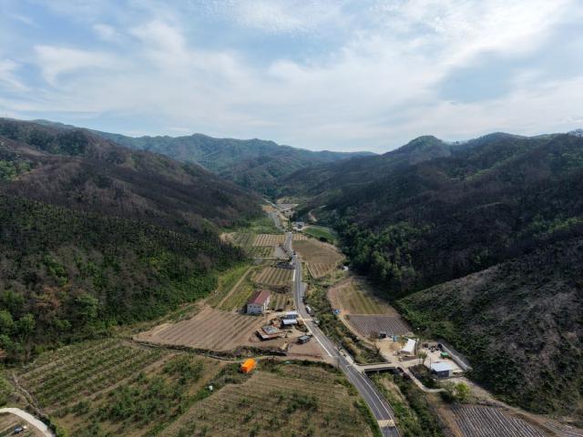 [NSP NEWS Image]안동시, 길안면 백자리 일원 ‘산림경영특구’ 지정
